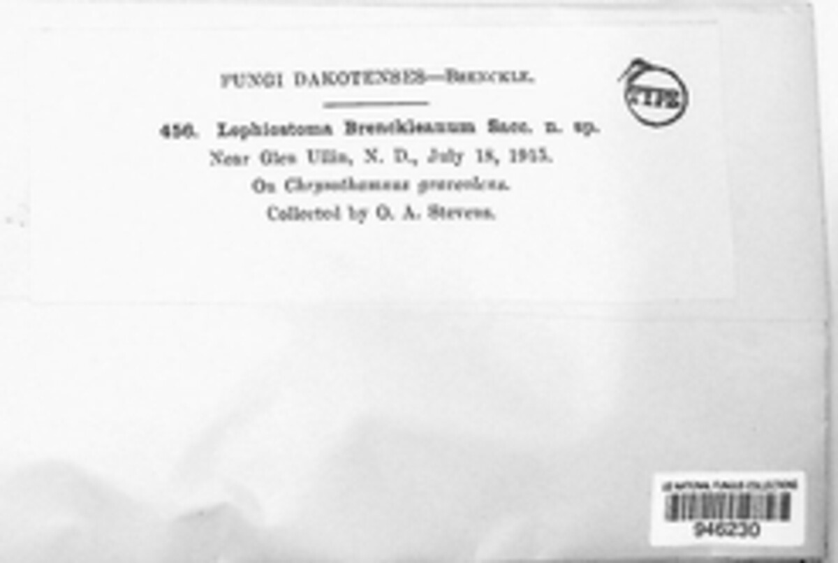 Lophiostoma brenckleanum image